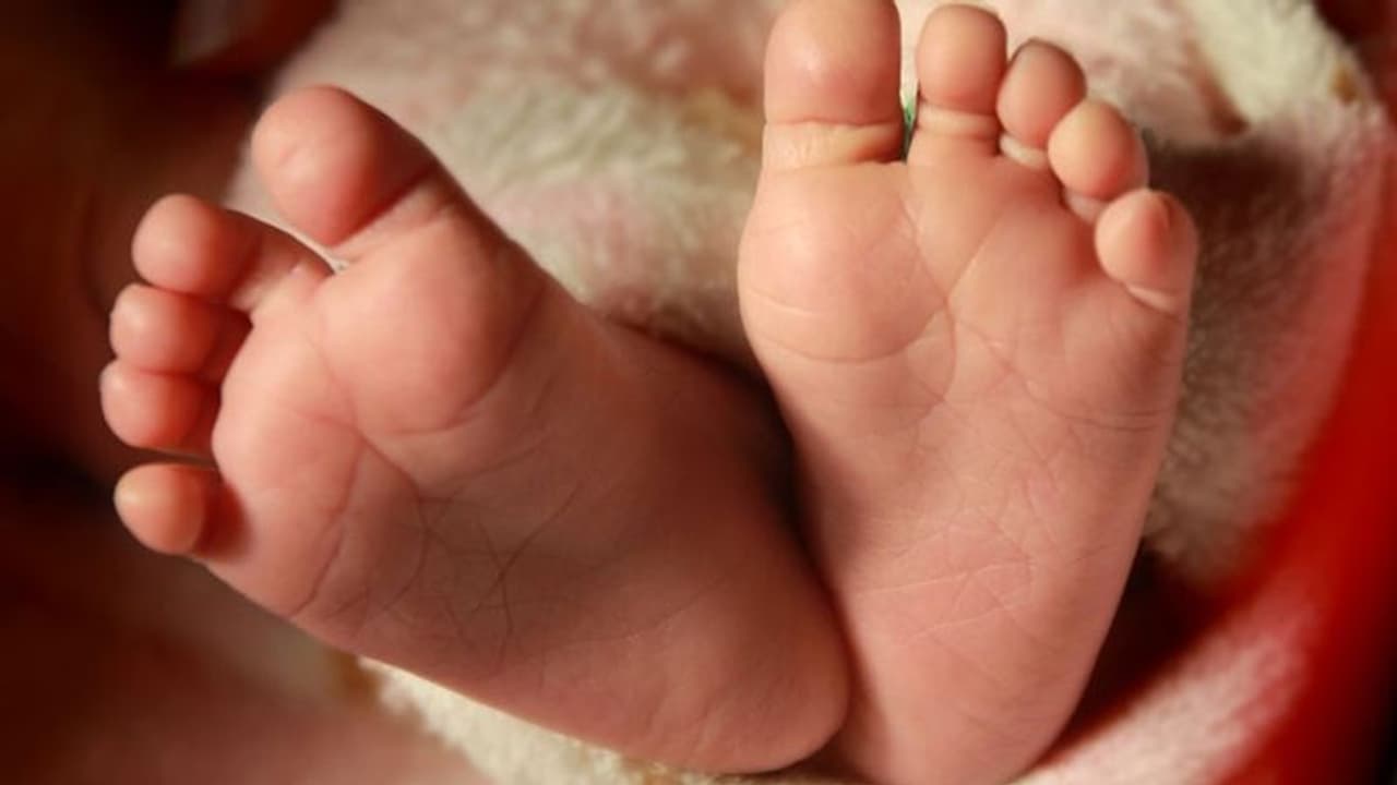 five year old girl dies after falling from toy train in jodhpur five year old girl dies after falling from toy train in jodhpur