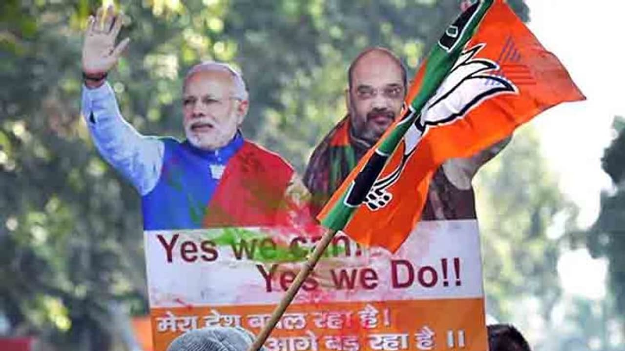 BJP Flag BJP Flag