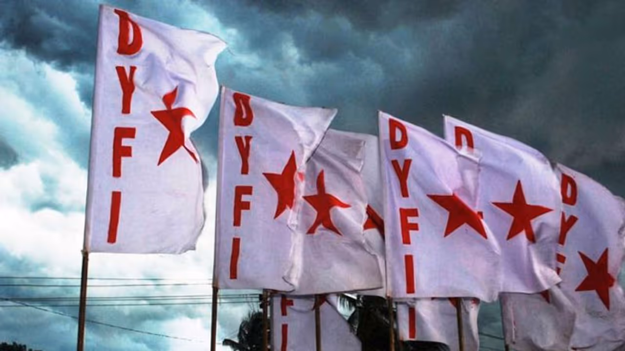 dyfi flag dyfi flag