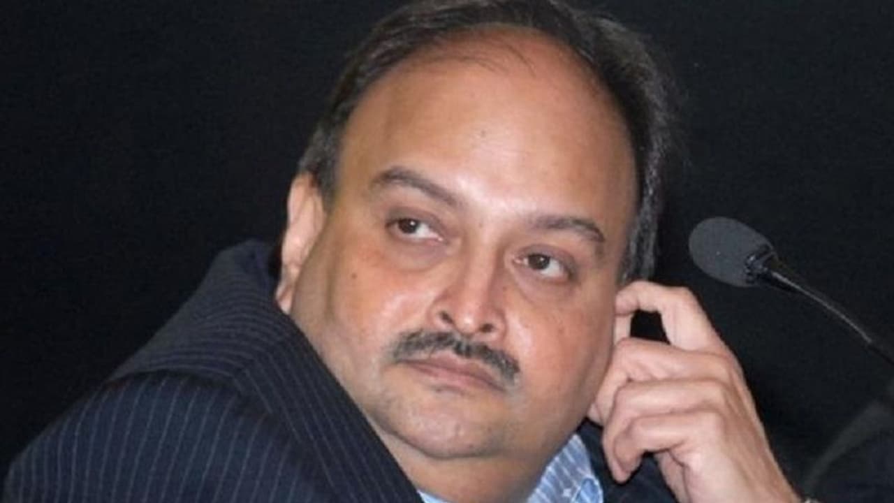 Antigua government canceled mehul choksi citizenship Antigua government canceled mehul choksi citizenship