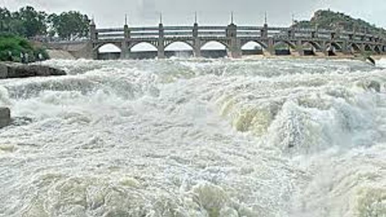 cauvery cauvery