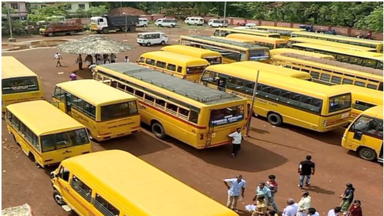 School bus School bus