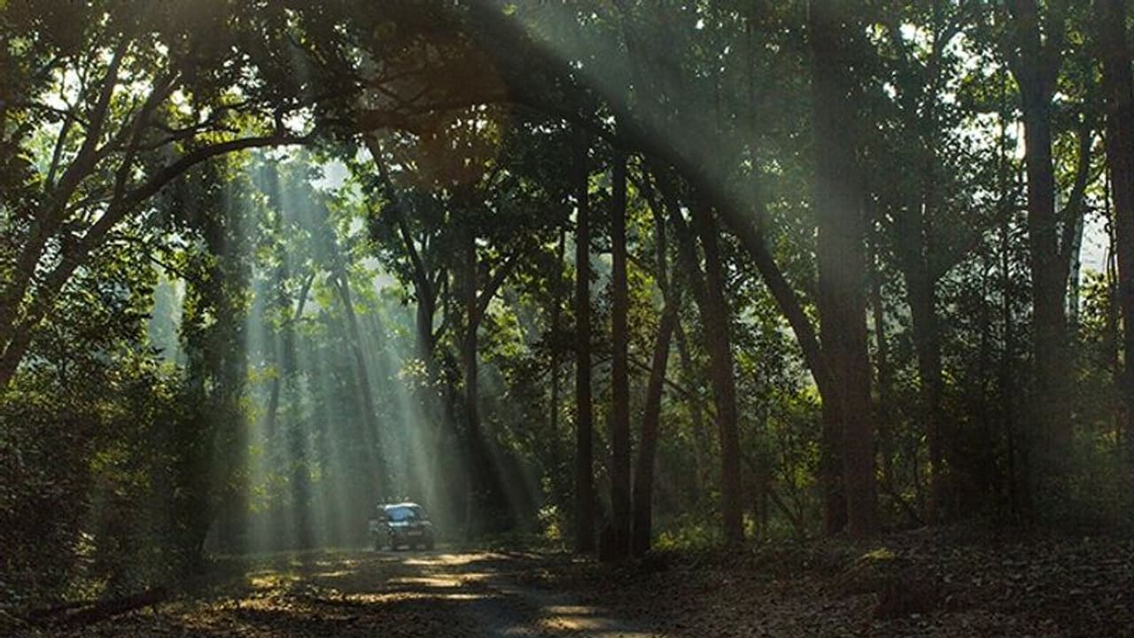 Tiger Reserves and National Parks of India Tiger Reserves and National Parks of India