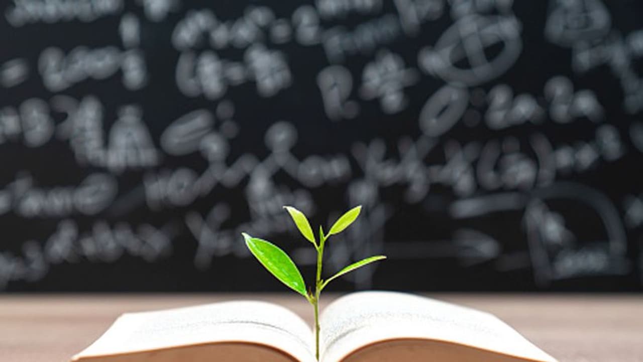 Poetry Day Poetry Day