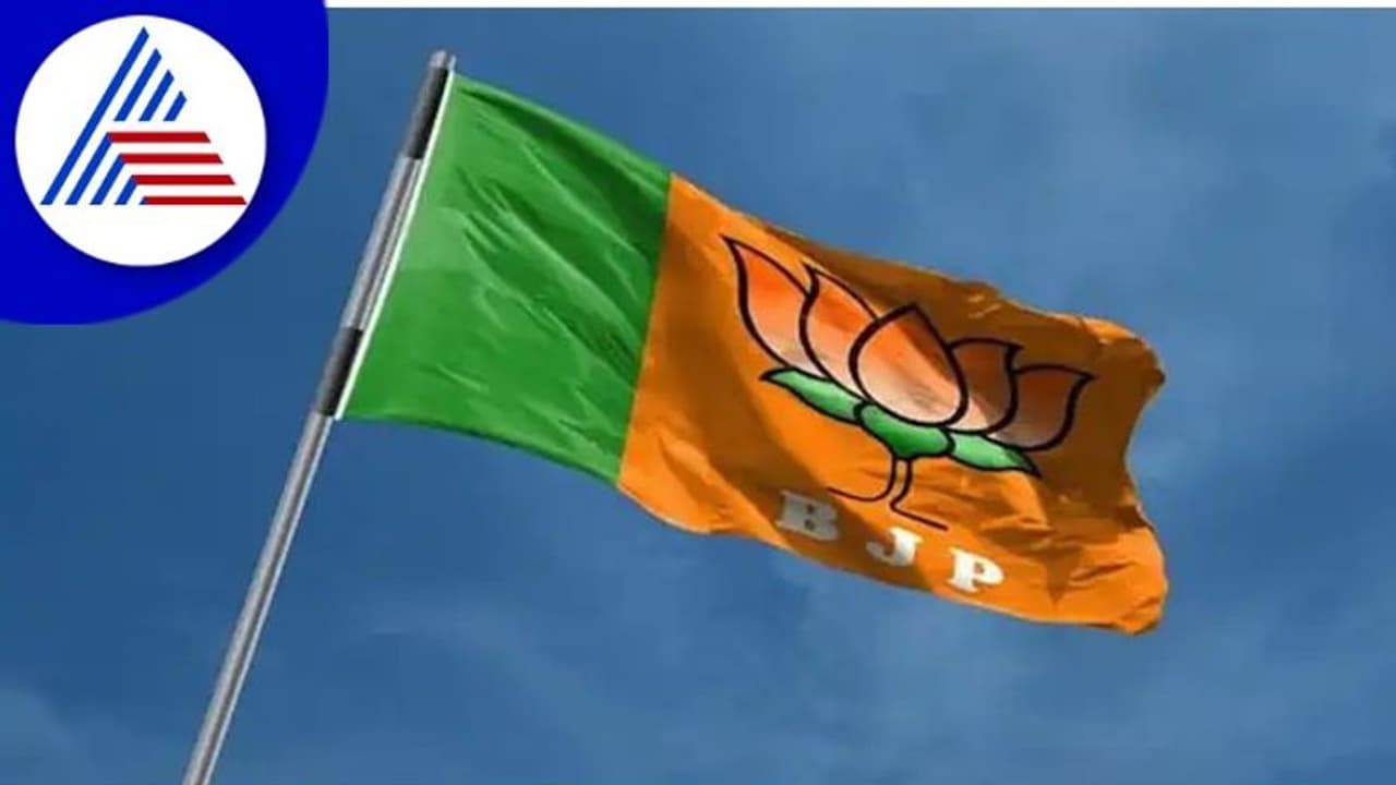 BJP Flag BJP Flag