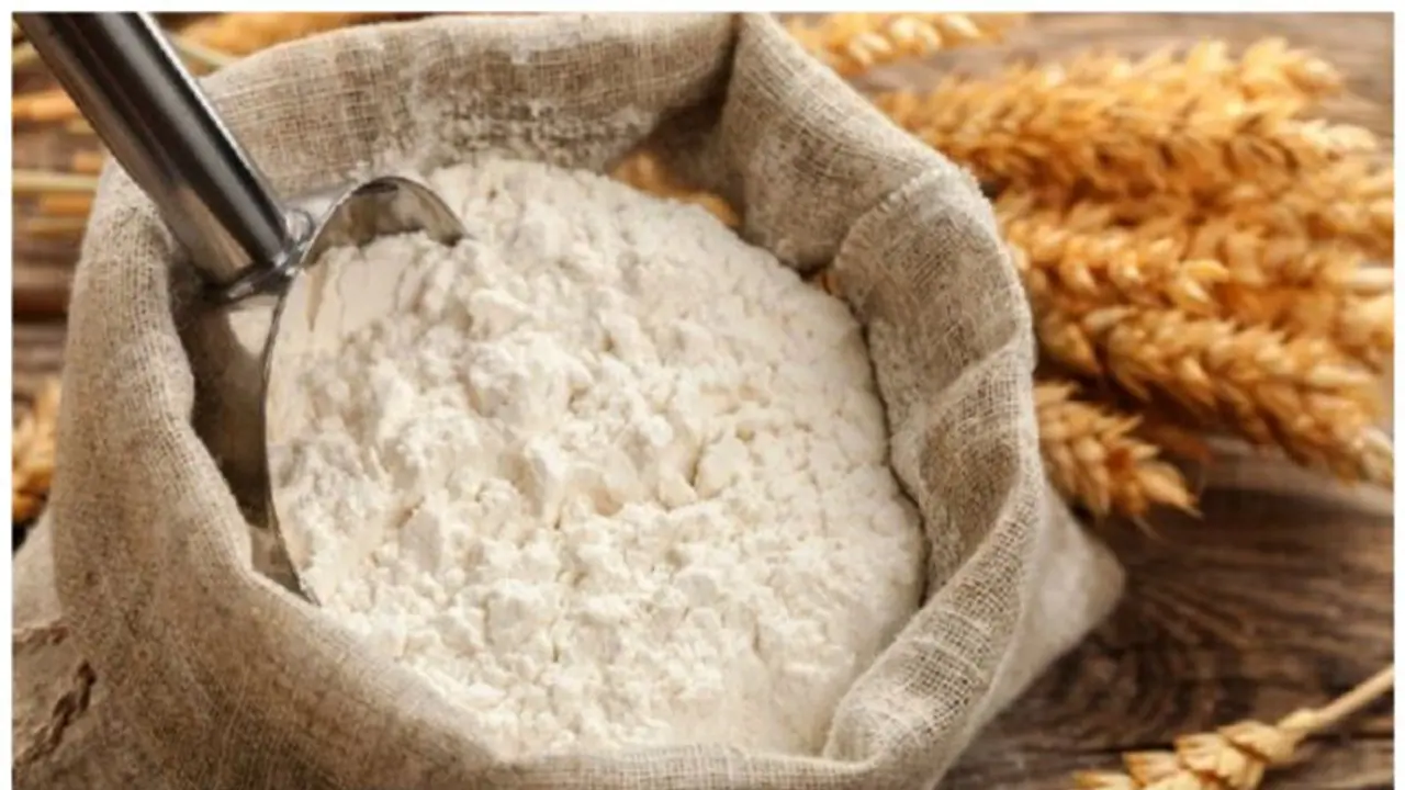 wheat flour