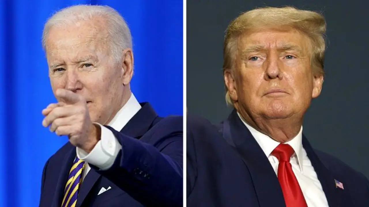 trump joe biden polls