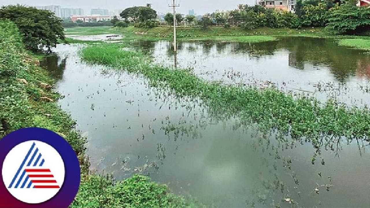 Bengaluru lake Bengaluru lake