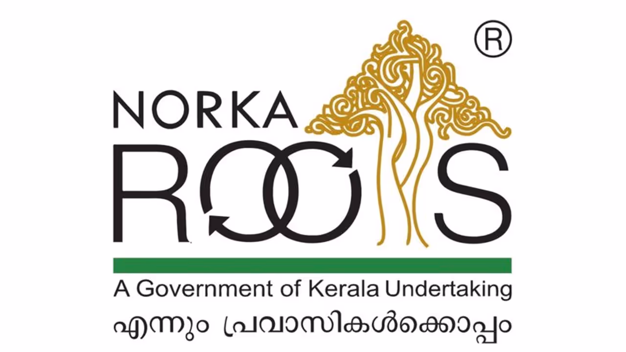 Norka Roots