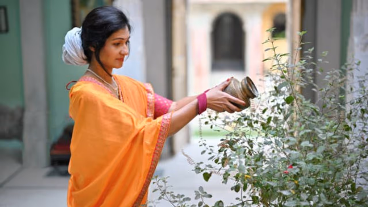 Tulsi worship Tulsi worship