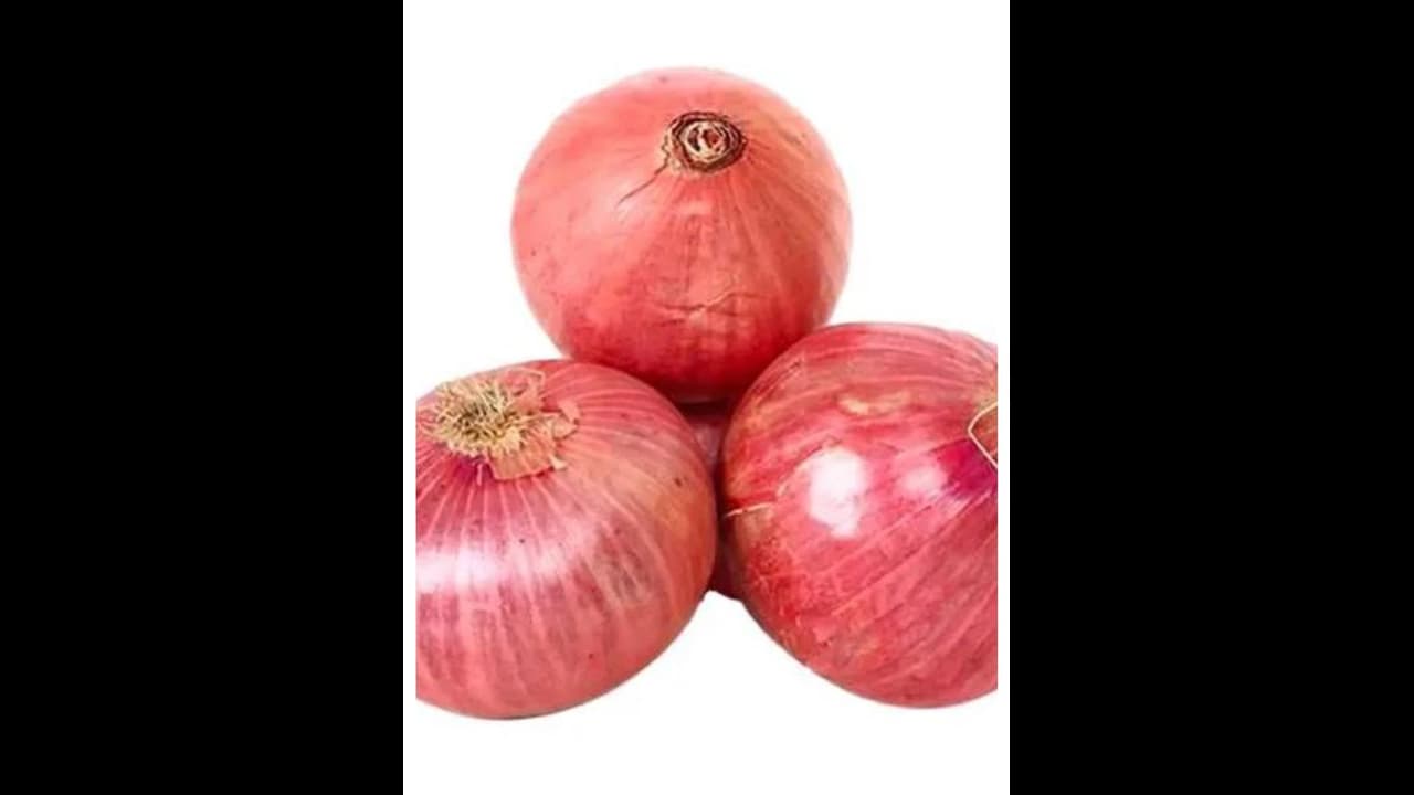 onion onion