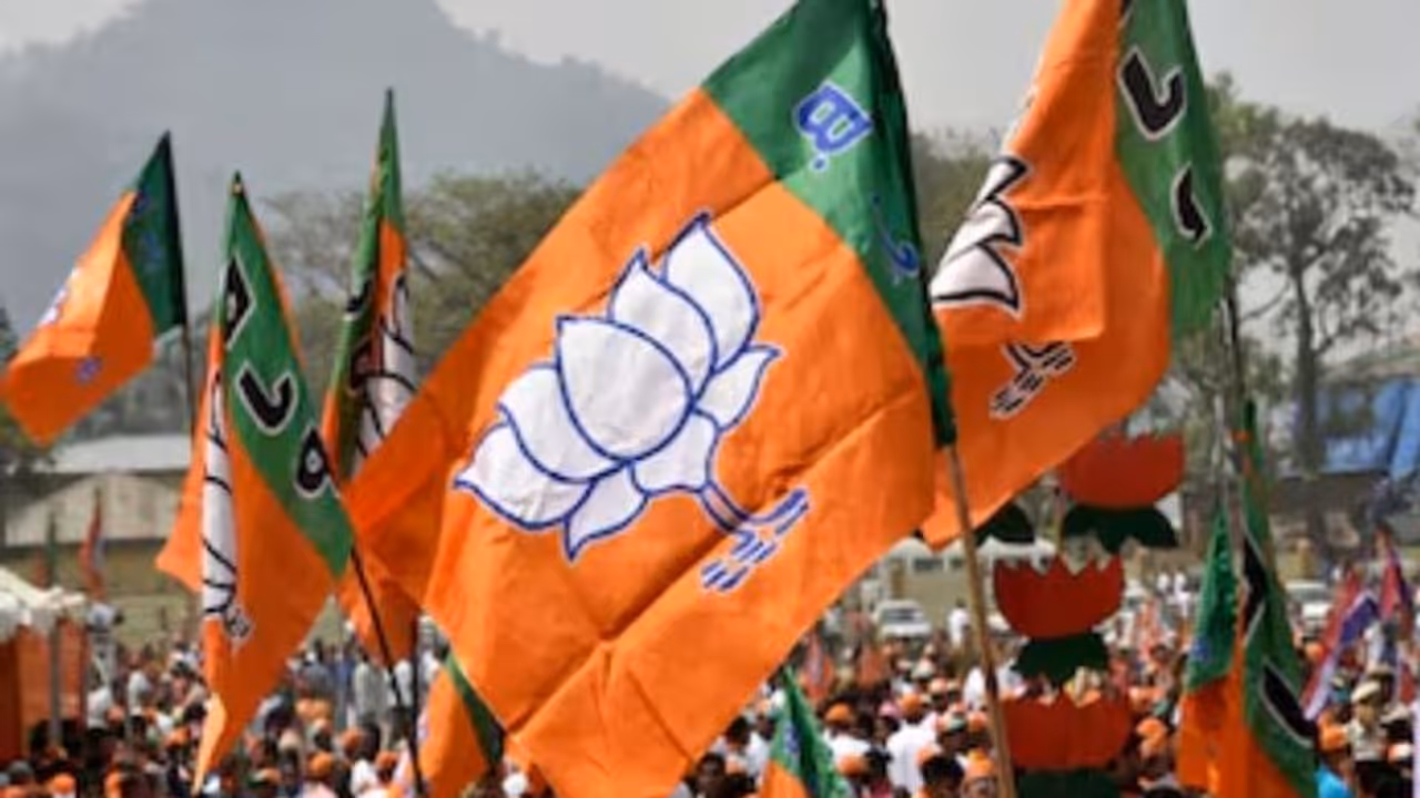 bjp flag