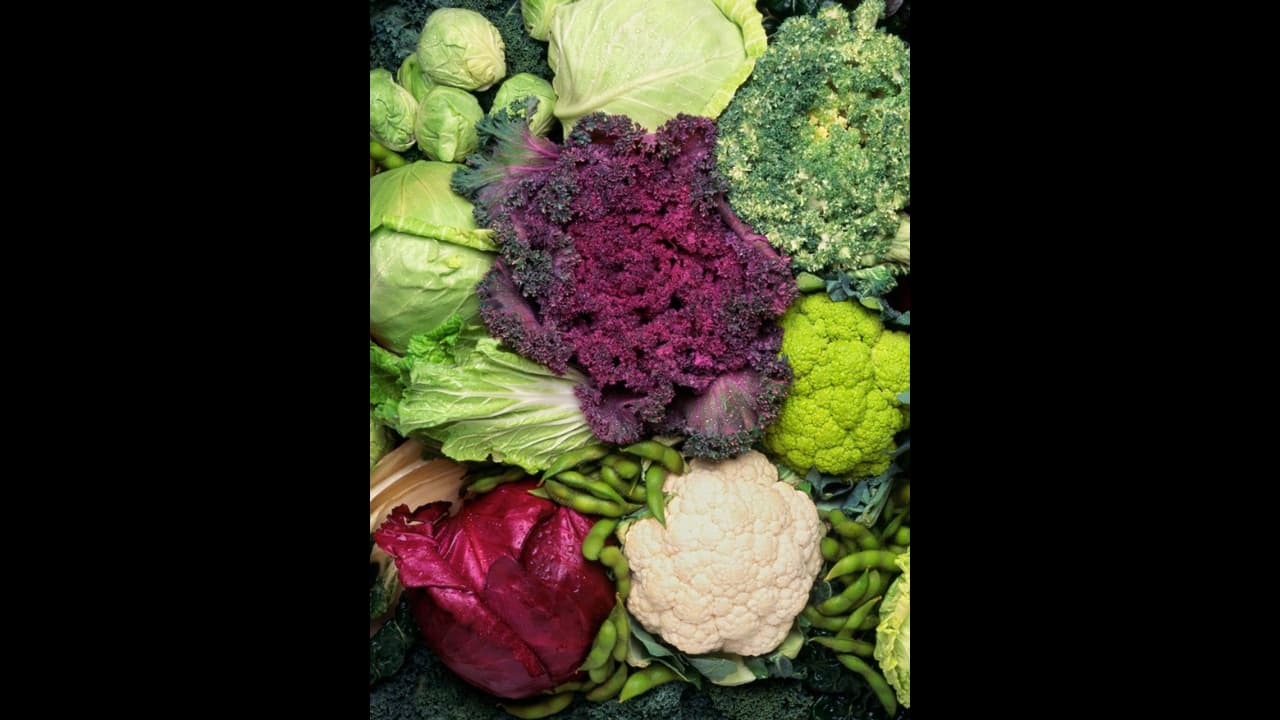 Vegetables Vegetables