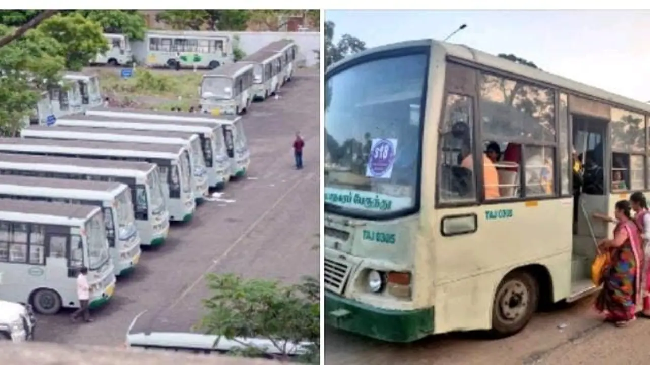 mini bus and small bus