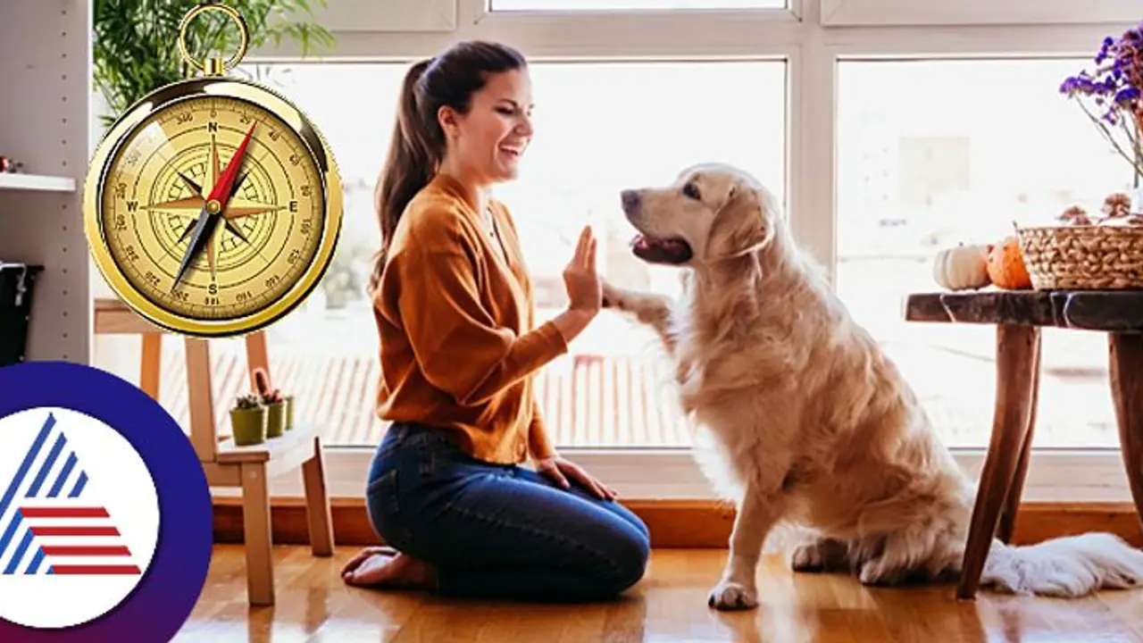 Vaastu tips for pet animals in home Vaastu tips for pet animals in home