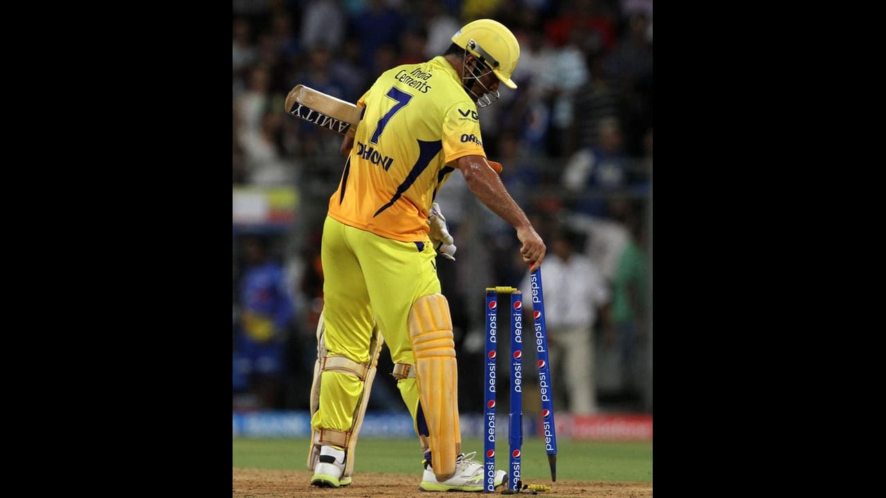 MS Dhoni Carry Stump MS Dhoni Carry Stump