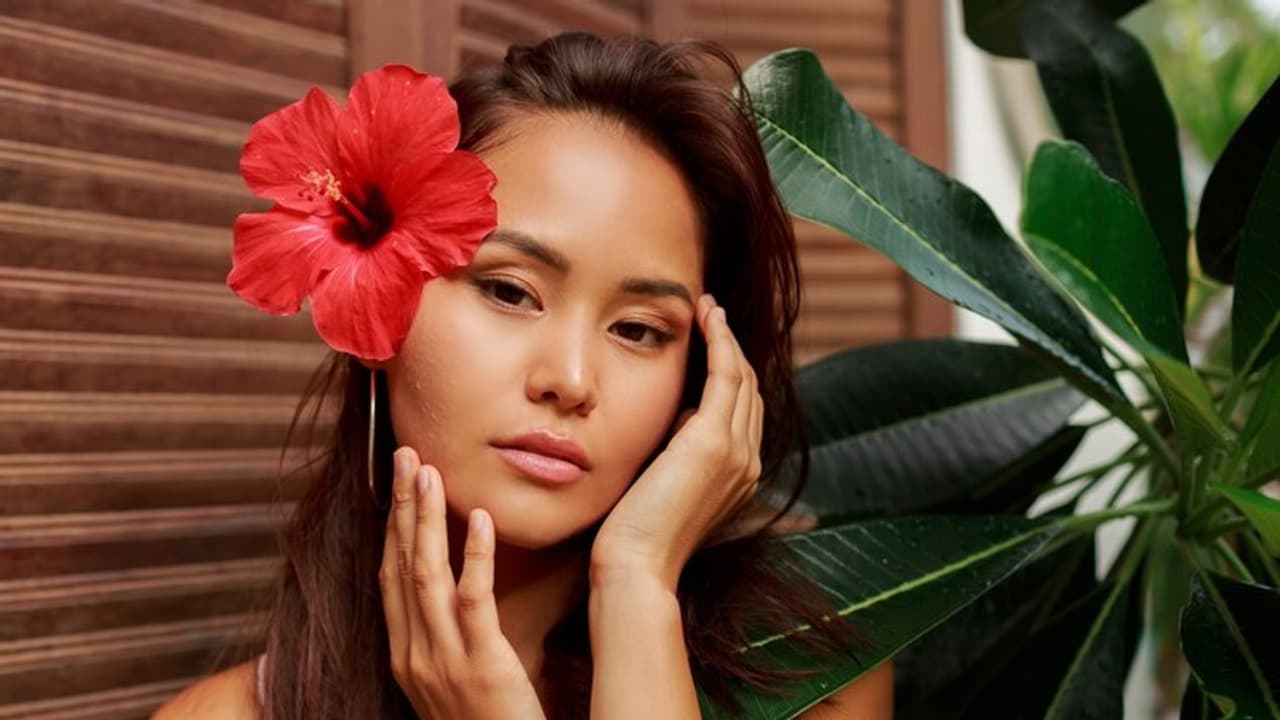 hibiscus flower hibiscus flower