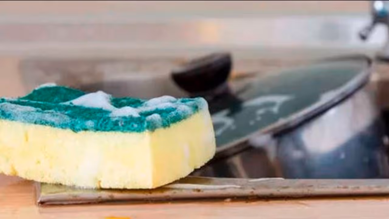 kitchen sponge