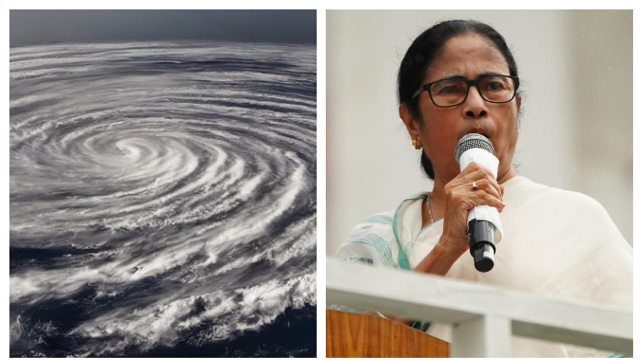 dana mamata dana mamata