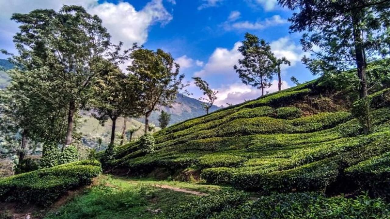 mp hill station 3 mp hill station 3