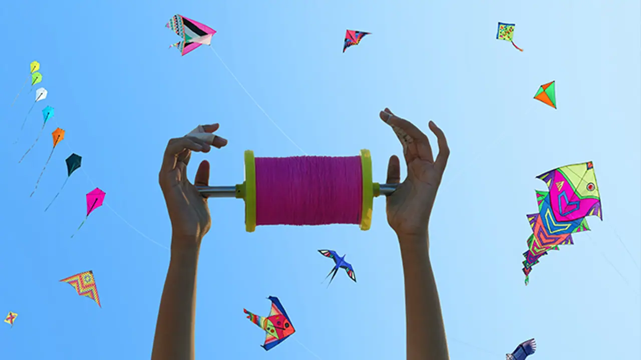 makar sankranti 2025 makar sankranti 2025