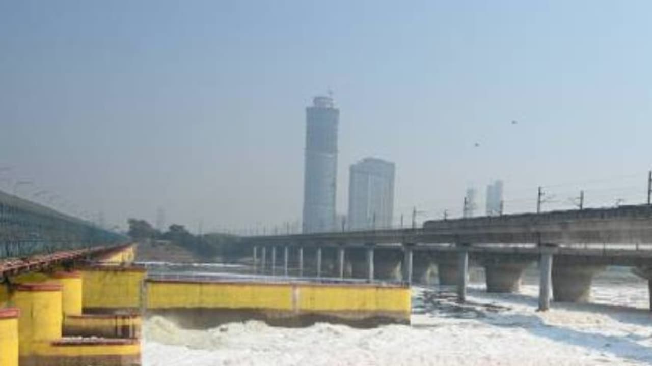 yamuna 