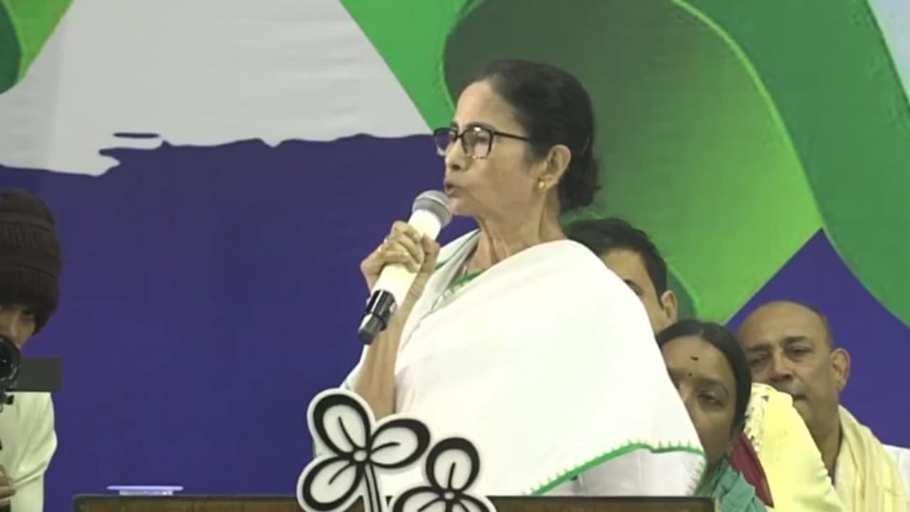 mamata mamata