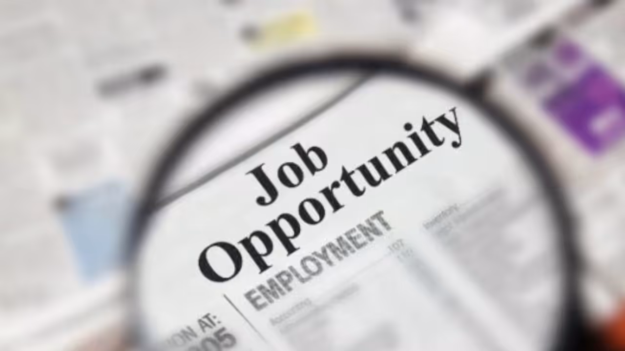 Job Opportunity Job Opportunity