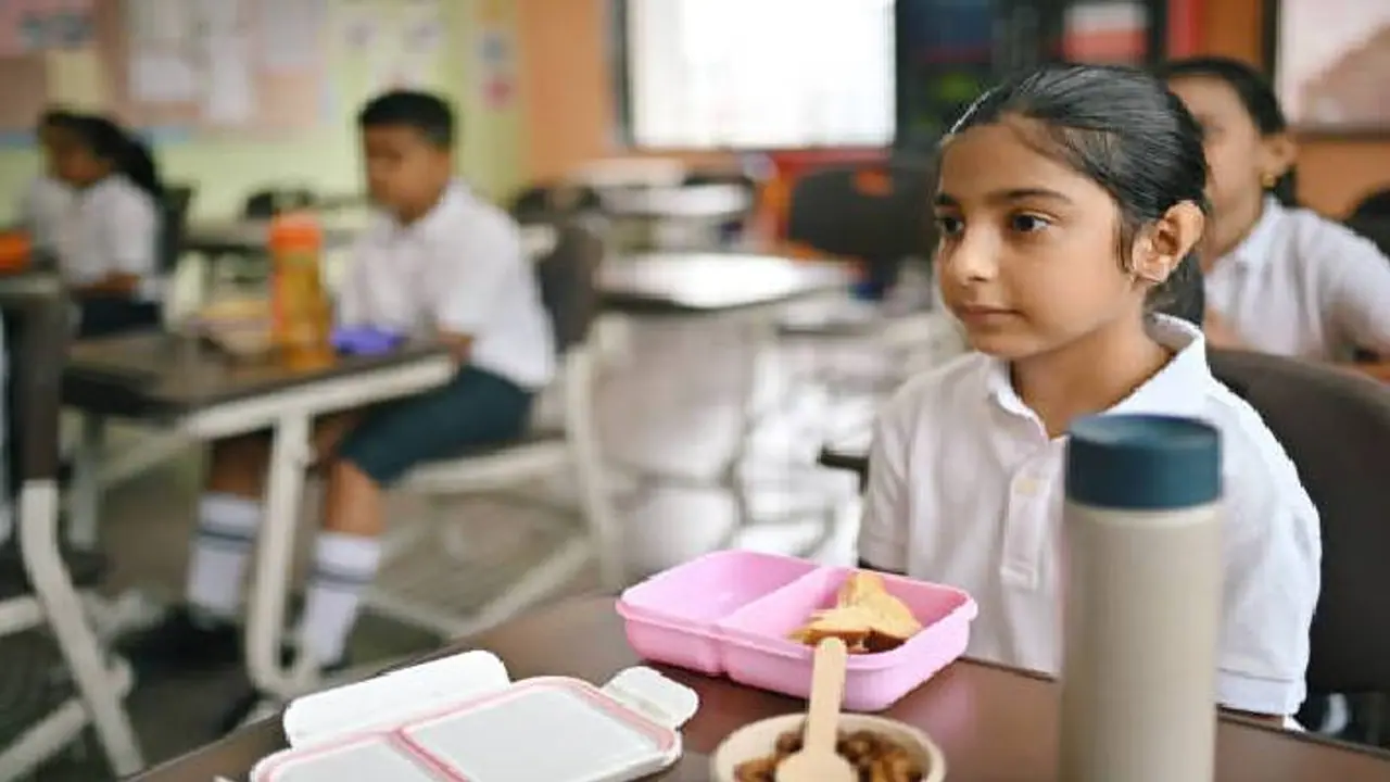 school children's school children's