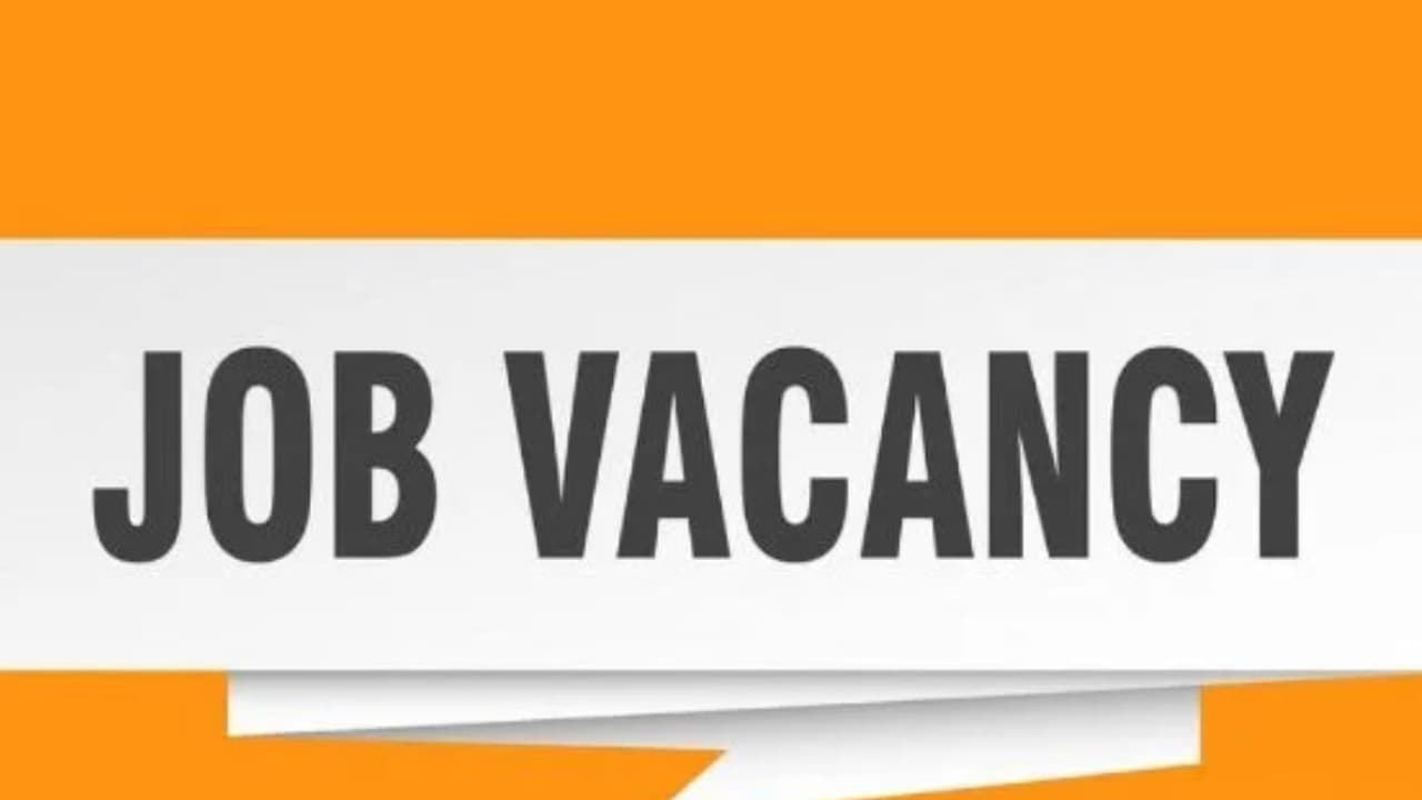 job vacancy job vacancy