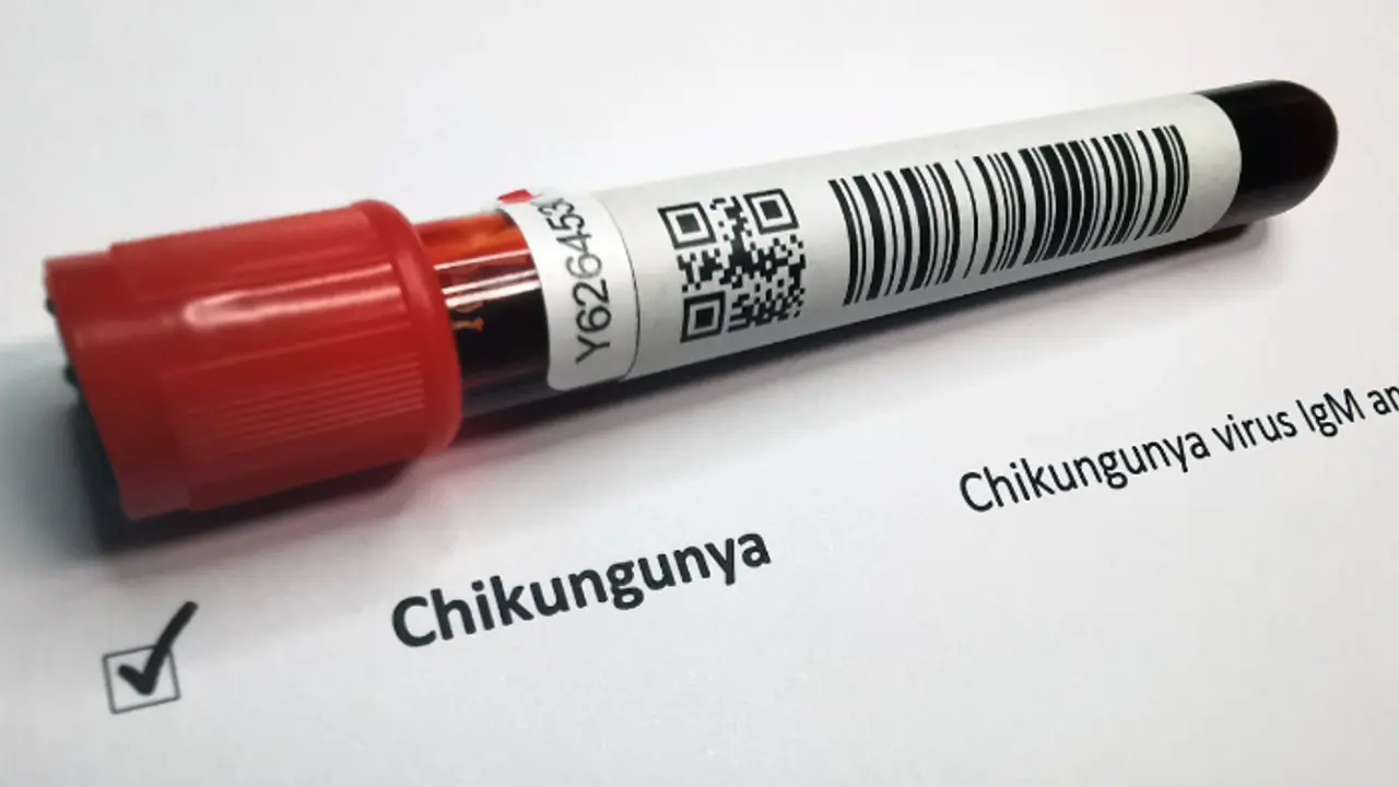Chikungunya