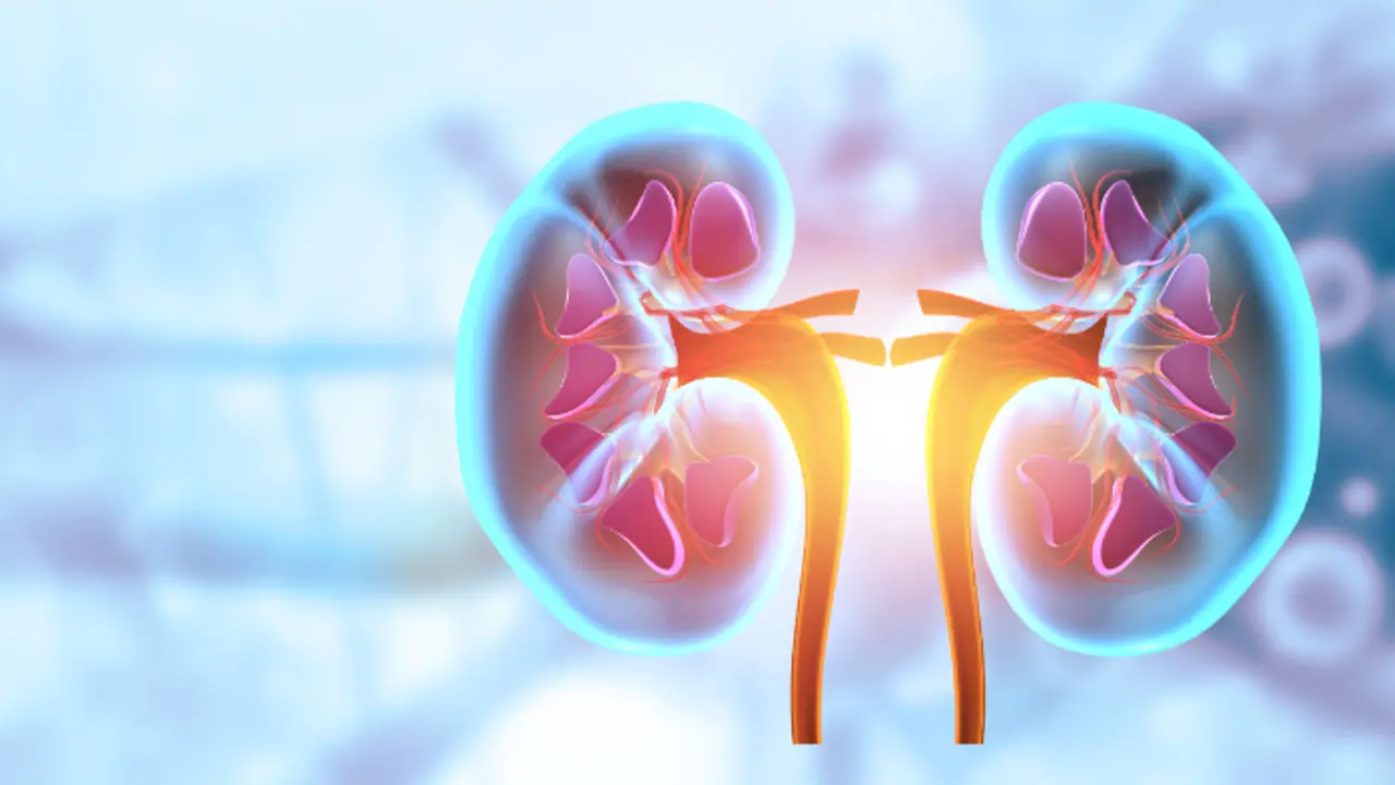 kidney health