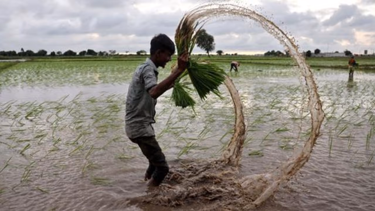 mp monsoon forecast 2025 heavy rainfall mp monsoon forecast 2025 heavy rainfall
