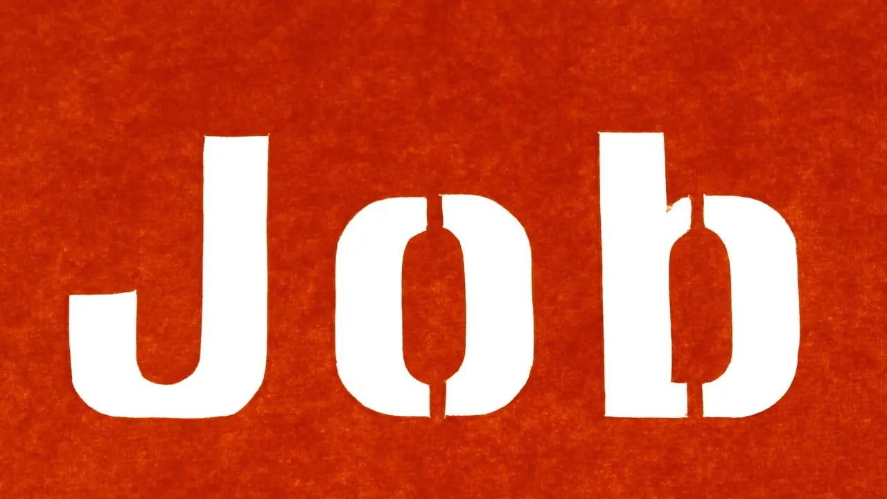 Job News Job News