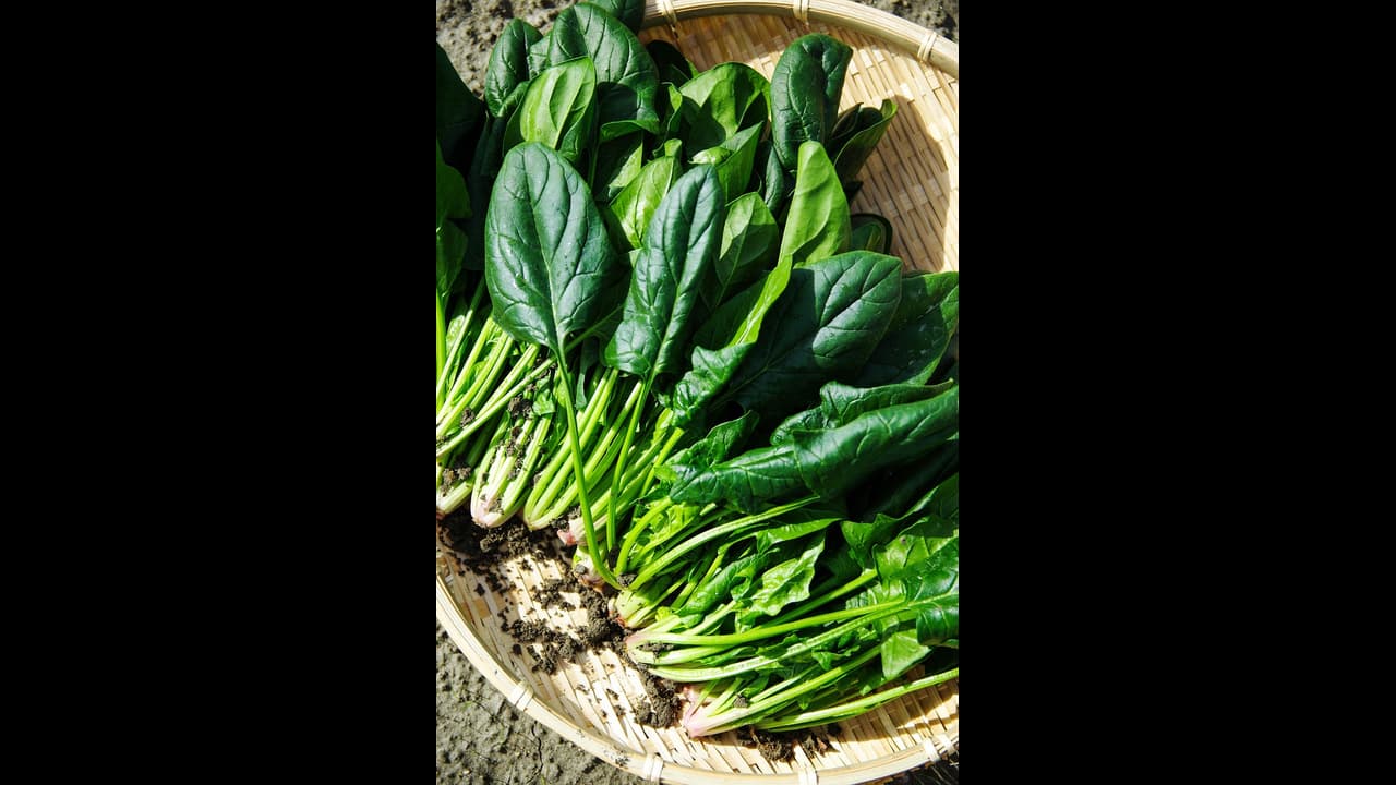 Vegetables Vegetables