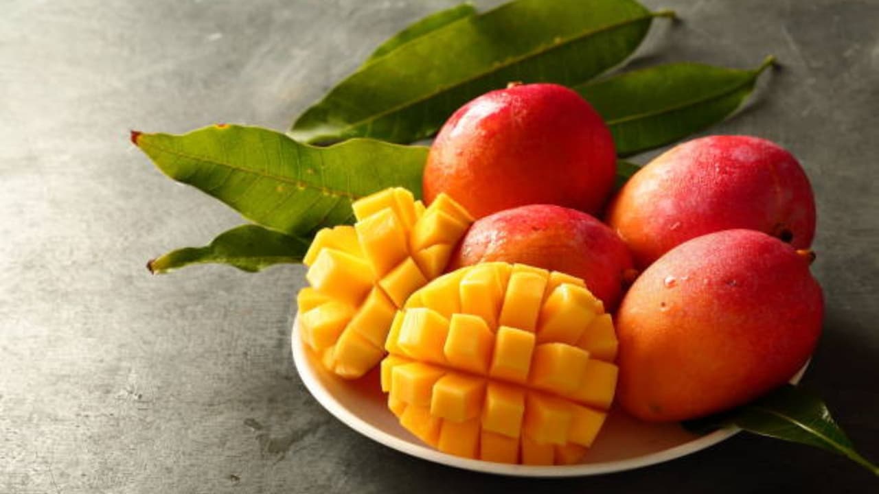 indian mango varieties by state