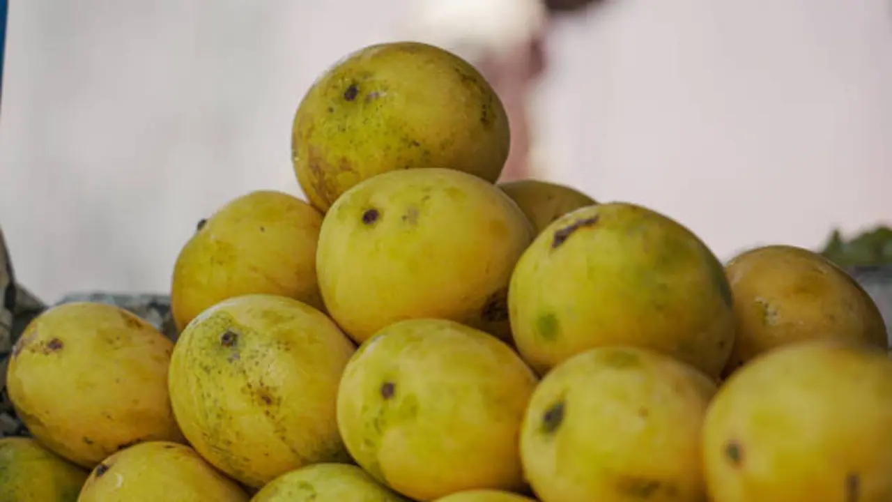 why do mango flesh turn brown 5 easy hacks to keep them fresh longer