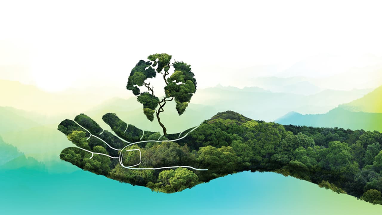 World Environment Day