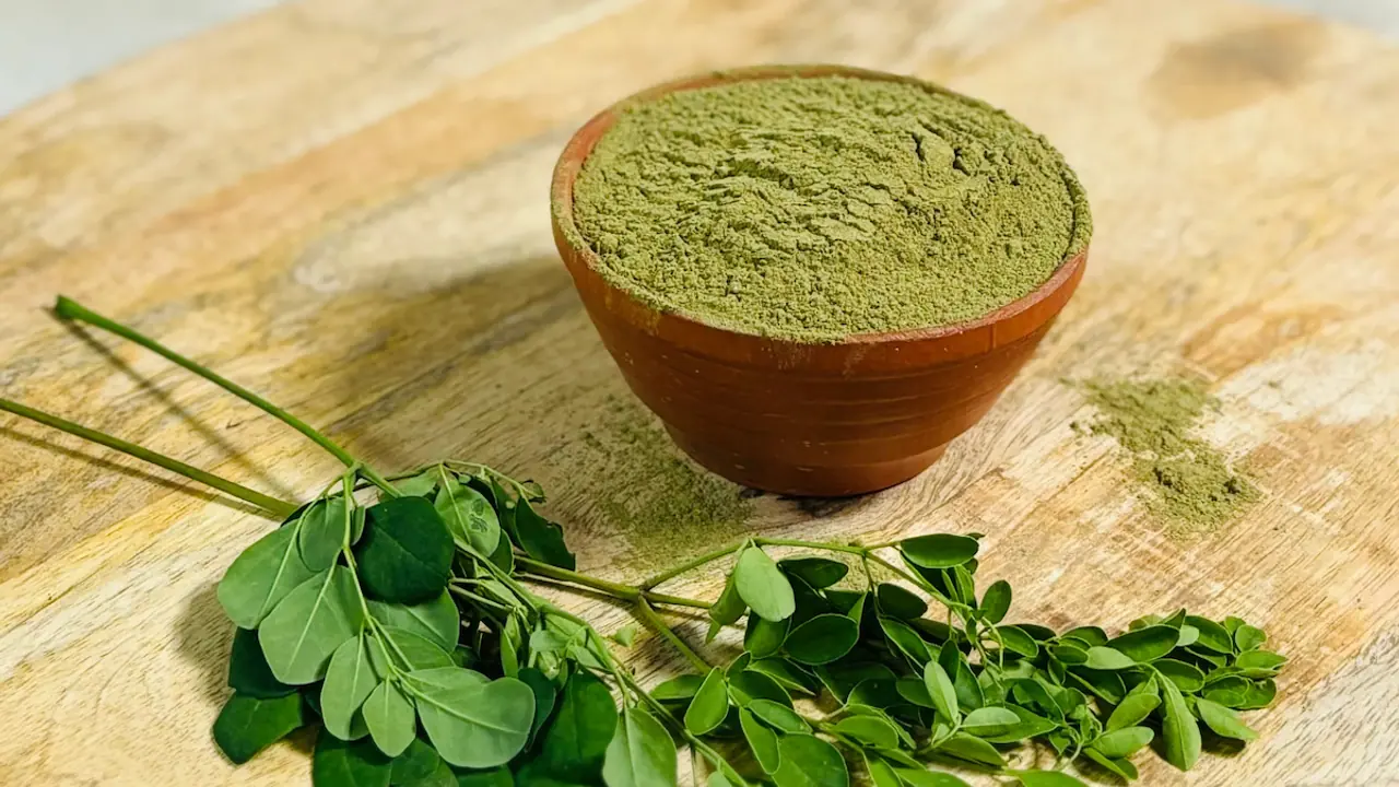 Moringa Leaves Benefits