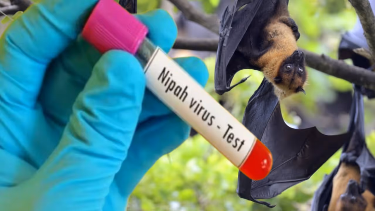 Nipah Virus in Kerala