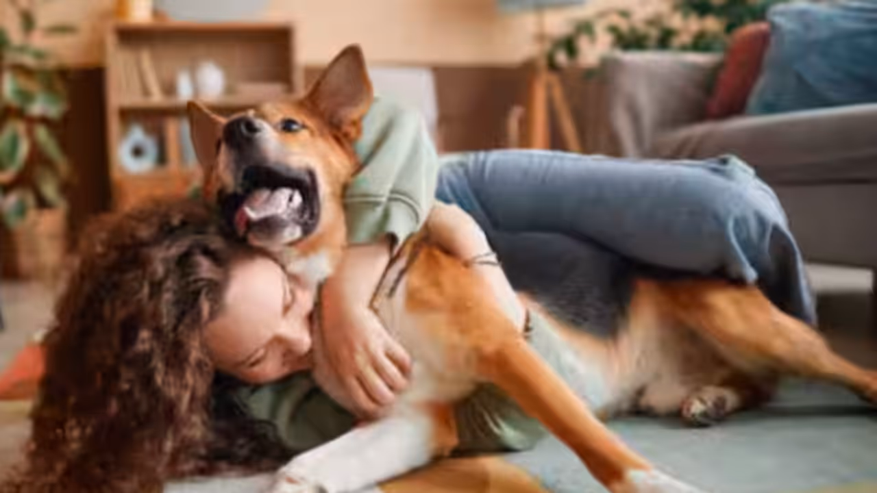 zoonotic diseases spread by pets