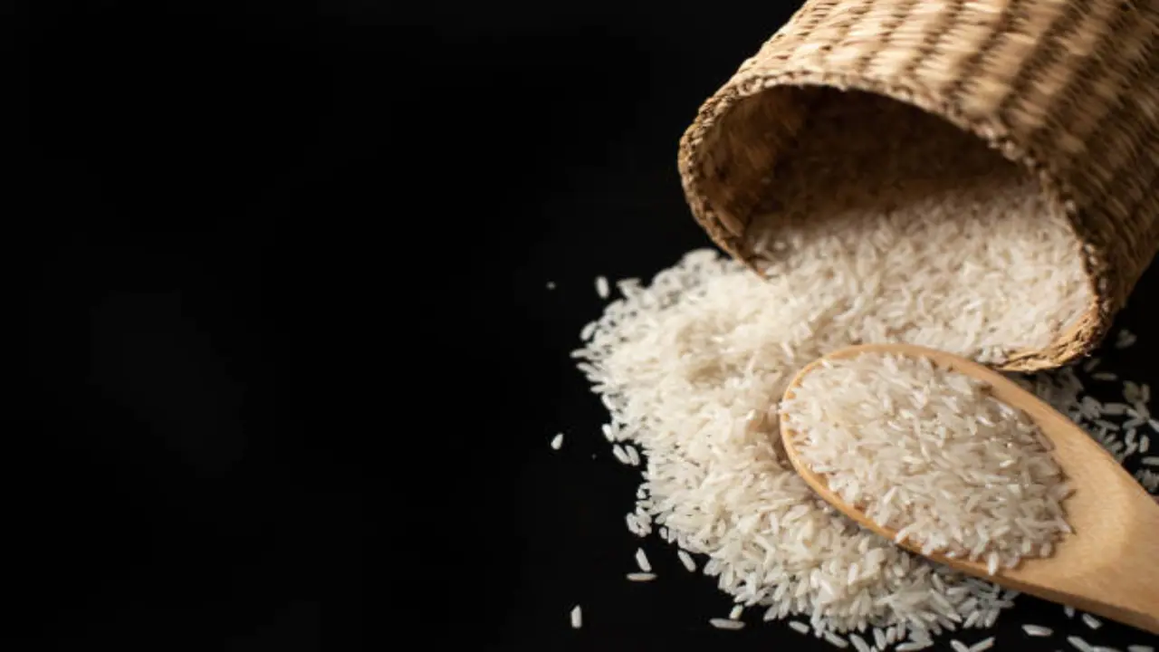how to protect rice from insects at home 