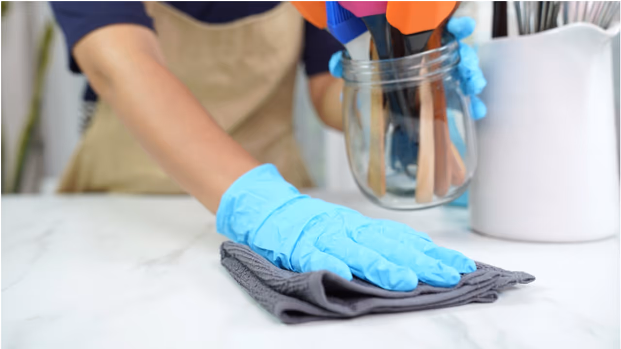 domestic worker domestic worker