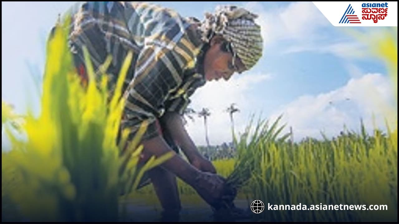 karnataka monsoon karnataka monsoon