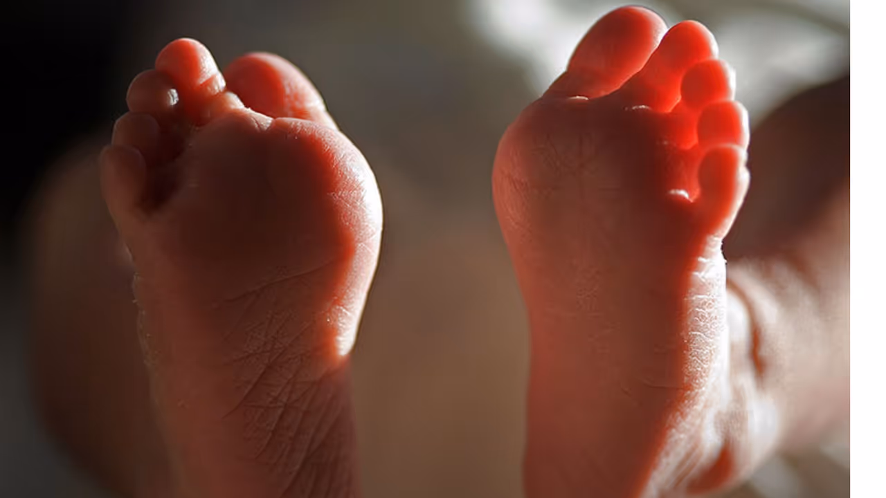 Newborn baby Newborn baby