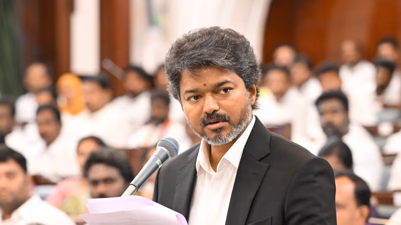 Vijay Vijay
