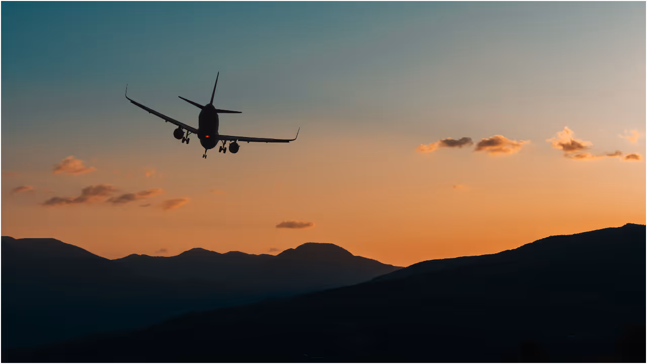flight flight