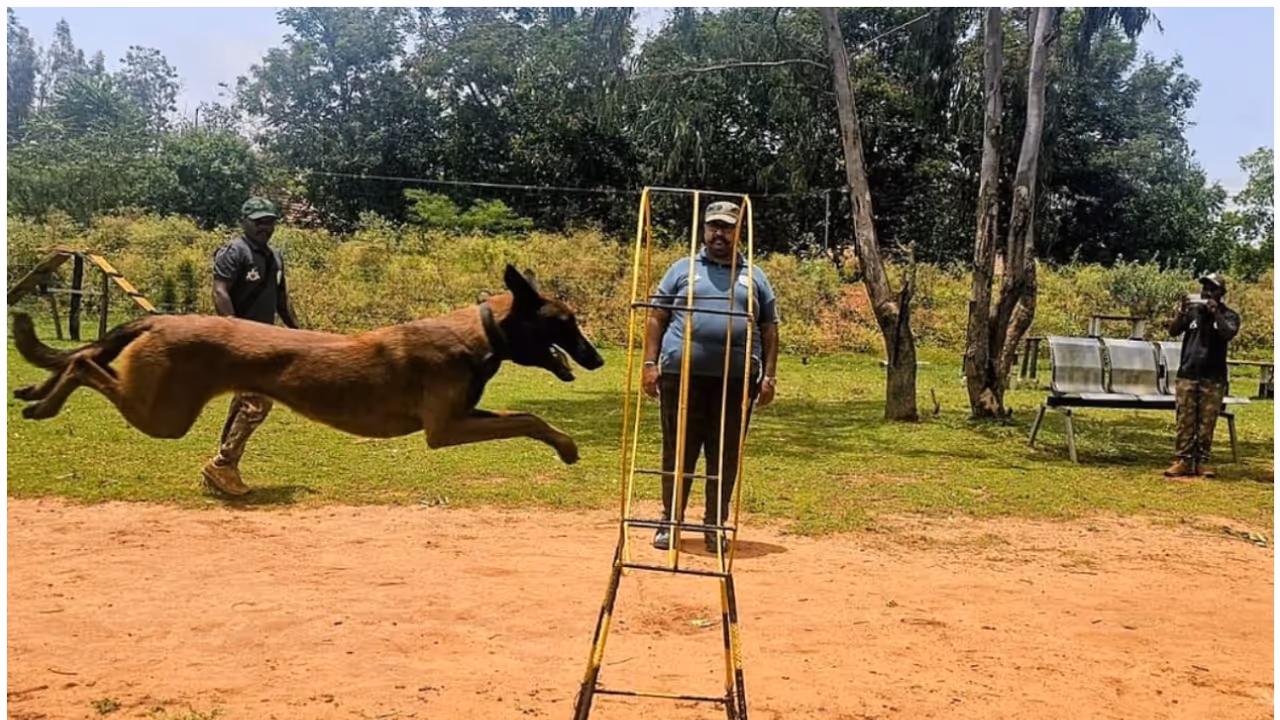Karnataka forest dog squad Karnataka forest dog squad