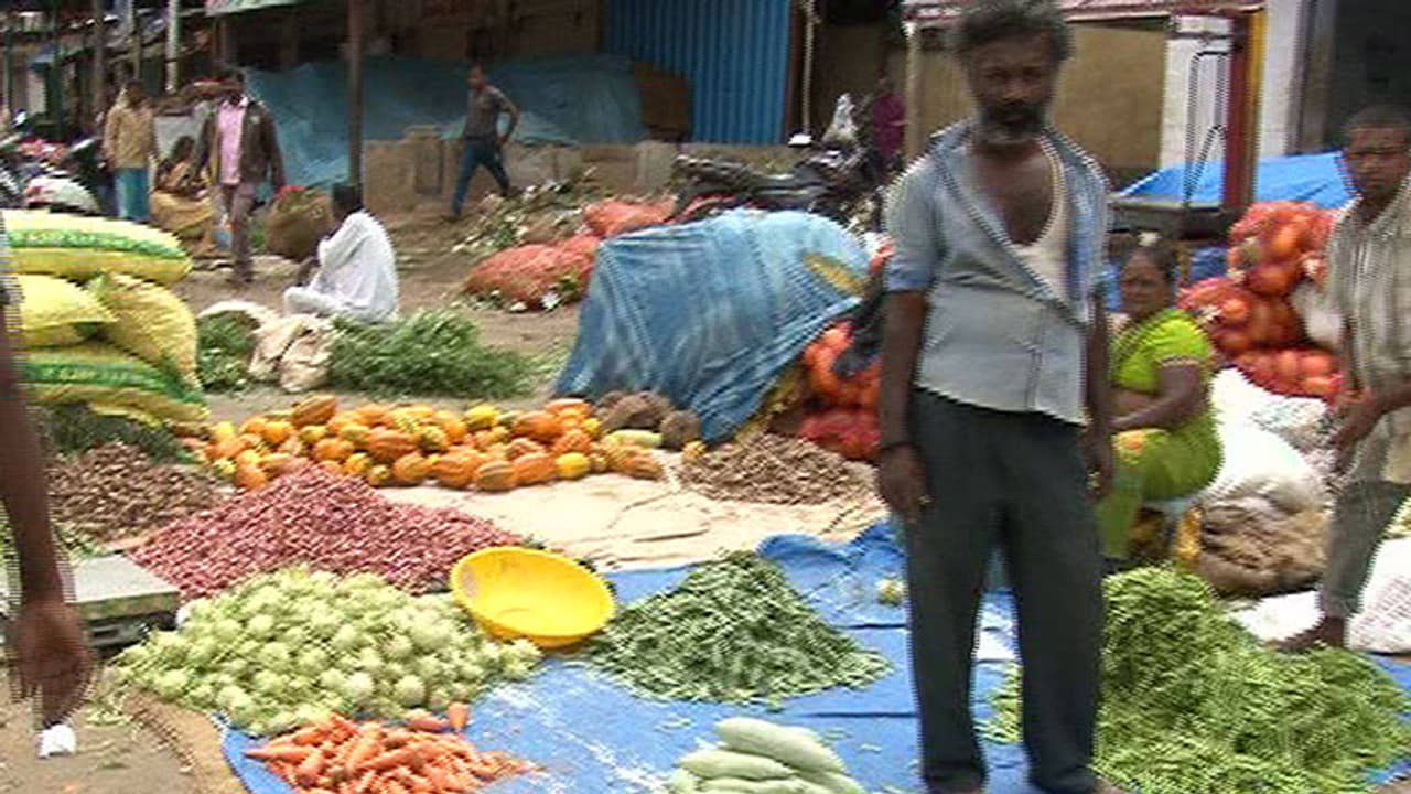 Vegetable Vendor Vegetable Vendor