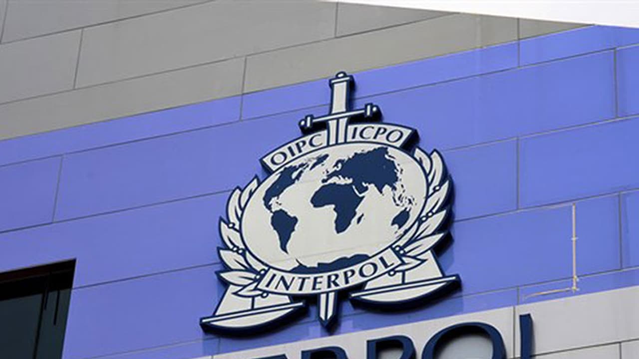 interpol interpol